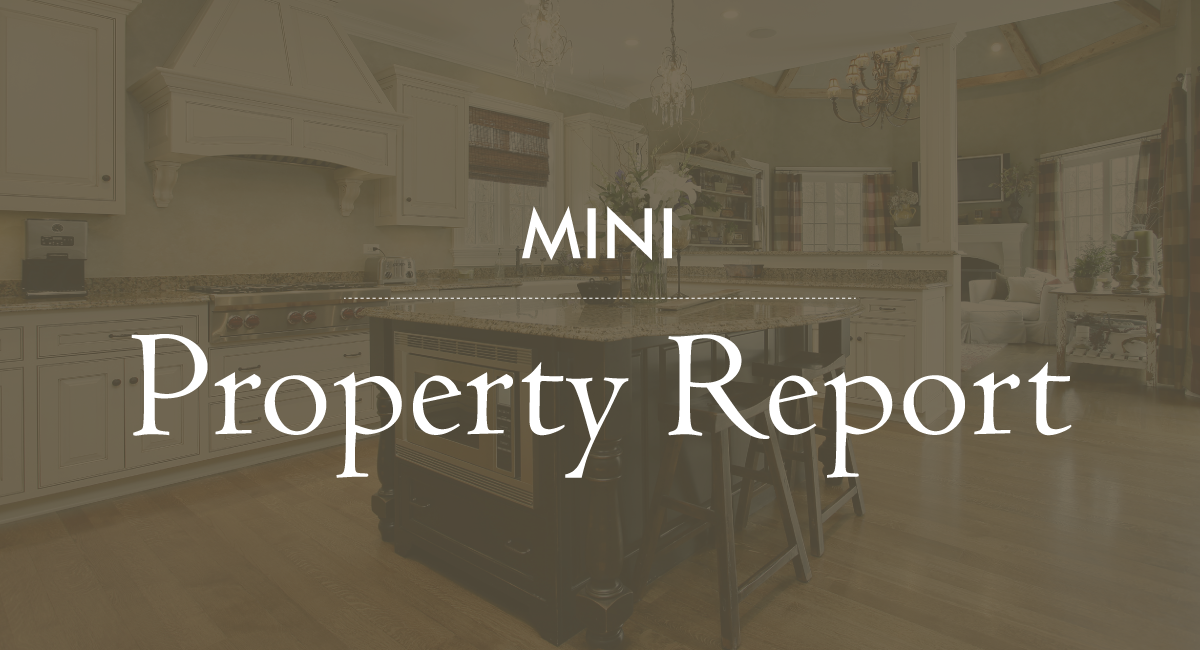 Property Report Snapshot 